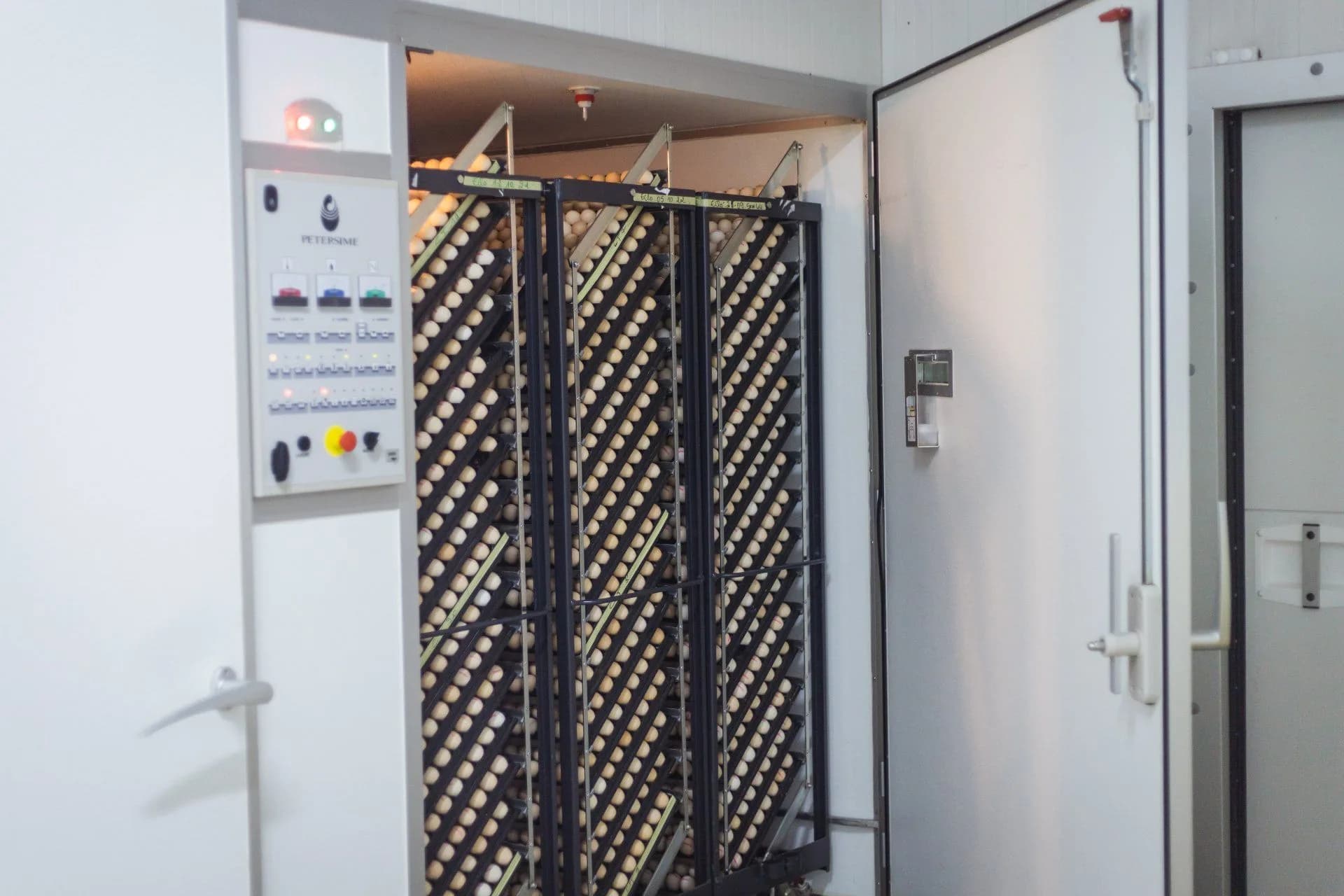 Œufs en incubation dans les casiers de l'unité APRAN