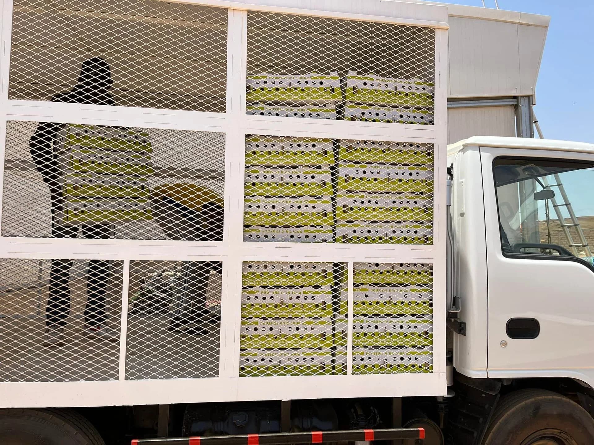 Camion APRAN chargé de casiers de poussins d'un jour